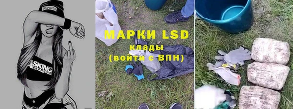 СК Армянск