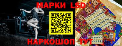 mdpv Кандалакша