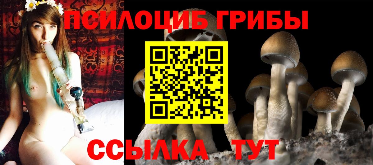 Псилоцибиновые грибы MAGIC MUSHROOMS Лянтор